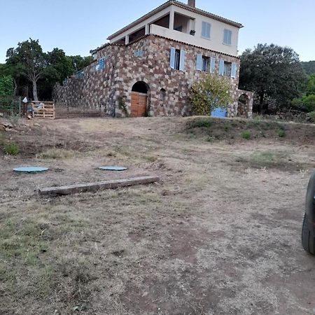 Casa Ghjuvanna Galeria (Corsica) Dış mekan fotoğraf